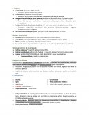 Resumo Processo Penal I