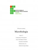 A Contaminação Por Microrganismos