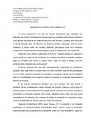 Paper sobre a origem da legislação ambiental