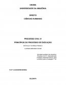 Princípios do Processo de Execução