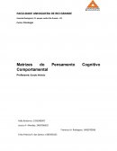 Matrizes do Pensamento Cognitivo Comportamental