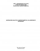 A ABORDAGEM ANALÍTICO-COMPORTAMENTAL DA ANSIEDADE E DEPRESSÃO