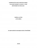 As repercussões da menopausa sobre a feminilidade