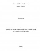 APLICAÇÃO DE MICRORGANISMO PARA A GERAÇÃO DE METABOLICOS NA INDUSTRIA