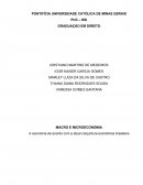 Trabalho Micro e Macroeconomia: A economia de acordo com a atual conjuntura econômica brasileira