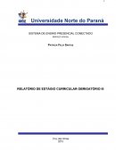 RELATÓRIO DE ESTÁGIO CURRICULAR OBRIGATÓRIO III