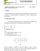 Relatório Circuito Paralelo