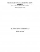 RELATÓRIO DE FISICA EXPERIMENTAL ǀ - Módulo de Young