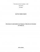 PROCESSO DE CONHECIMENTO DO TRABALHO: PRÍNCIPIOS DO PROCESSO DO TRABALHO