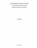 Resenha Sobre Sustentabilidade