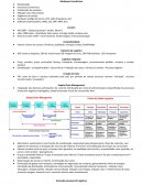 Resumo crítico “A onda” Gestão de logística