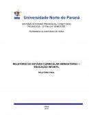 RELATÓRIO DO ESTÁGIO CURRICULAR OBRIGATÓRIO I – EDUCAÇÃO INFANTIL