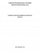 O ENSINO DA EDUCAÇÃO AMBIENTAL EM ESCOLAS PÚBLICAS