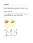 Os Ácidos Nucleícos