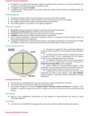 Topografia: Conceitos Fundamentais