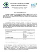 PROGRAMA INSTITUCIONAL DE BOLSA DE INICIAÇÃO À DOCÊNCIA