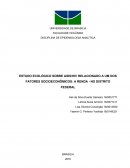 ESTUDO ECOLÓGICO SOBRE AIDS/HIV RELACIONADO A UM DOS FATORES SOCIOECONÔMICOS: A RENDA - NO DISTRITO FEDERAL