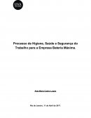 Processo de Higiene, Saúde e Segurança do Trabalho para a Empresa Bateria Máxima.