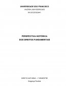 A PERSPECTIVA HISTÓRICA DOS DIREITOS FUNDAMENTAIS