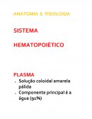 ANATOMIA E FISIOLOGIA SISTEMA HEMATOPOIÉTICO