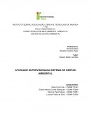 O SISTEMA DE GESTÃO AMBIENTAL