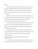 Relatório de conclusão de estagio