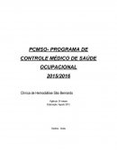 PROGRAMA DE CONTROLE MÉDICO DE SAÚDE OCUPACIONAL