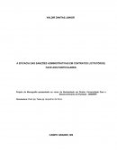 A EFICACIA DAS SANÇÕES ADMINISTRATIVAS EM CONTRATOS LICITATÓRIOS, FACE AOS PARTICULARES