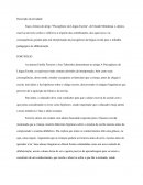 Texto crítico e reflexivo a respeito das contribuições, dos equívocos e as consequências geradas pela má interpretação da psicogênese da língua escrita para o trabalho pedagógico de alfabetização