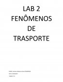 OS FENÔMENOS DE TRASPORTE