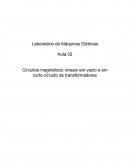 Relatório de máquinas elétricas