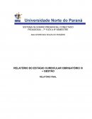 Relatorio 8º semestre pedagogia