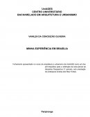 Fichamento de Minhas Experiêcias em Brasília