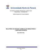 RELATÓRIO DO ESTÁGIO CURRICULAR OBRIGATÓRIO II – EDUCAÇÃO INFANTIL