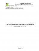 PRÁTICA LABORATORIAL: IDENTIFICAÇÃO DOS CÁTIONS DO GRUPO II, Mg2+, Ba2+, Ca2+, Sr2+.