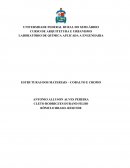 LABORATÓRIO DE QUÍMICA APLICADA A ENGENHARIA ESTRUTURAS DOS MATERIAIS – COBALTO E CROMO