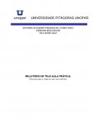 RELATÓRIO DE TELE AULA PRÁTICA: Colocar aqui o tema da tele aula prática
