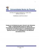 A RESPONSABILIDADE DA FAMÍLIA NO PROCESSO DE RESSOCIALIZAÇÃO DE ADOLESCENTES AUTOR DE ATO INFRACIONAL E A INTERVENÇÃO DO SERVIÇO SOCIAL NO CUMPRIMENTO DAS MEDIDAS SOCIOEDUCATIVA