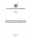 CONCENTRAÇÕES DE METAIS PESADOS NAS AGUAS DAS LAGOAS E POÇOS DO GARIMPO BOM FUTURO