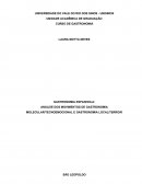 ANÁLISE DOS MOVIMENTOS DE GASTRONOMIA MOLECULAR/TECNOEMOCIONAL E GASTRONOMIA LOCAL/TERROIR