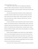 Análise documentário Carne e Osso