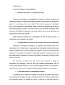 RESUMO CAP. IX FORMAÇÃO ECONÔMICA DO BRASIL