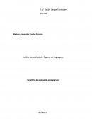 Análise da publicidade: Figuras de linguagens