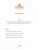 Construção de um instrumento de intervenção pedagógica considerando um caso de problemas comportamentais e aprendizagem de um aluno surdo na escola.