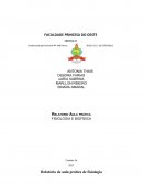 Fisiologia: Reflexos patelar e Pupilar, Diferenciação Gustatória e Percepção Somatosensorial