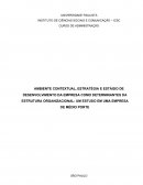 O AMBIENTE CONTEXTUAL, ESTRATÉGIA E ESTÁGIO DE DESENVOLVIMENTO DA EMPRESA COMO DETERMINANTES DA ESTRUTURA ORGANIZACIONAL