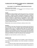 A FLEXIBILIZAÇÃO DOS DIREITOS TRABALHISTAS: COMPREENSÃO E LIMITES
