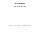 Apresentação e Análise de Práticas de Gestão Organizacional