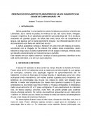 OBSERVAÇÃO DOS AGENTES POLINIZADORES DA SALVIA GUARANITICA NA CIDADE DE CAMPO MOURÃO - PR