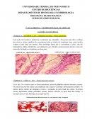 Riscos biologicos